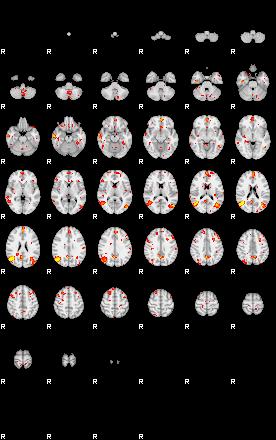 Patient:32;component:142