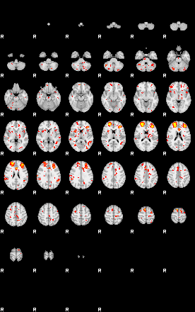 Patient:32;component:146