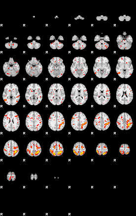 Patient:32;component:147