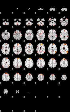 Patient:32;component:155