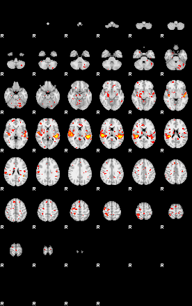 Patient:32;component:158