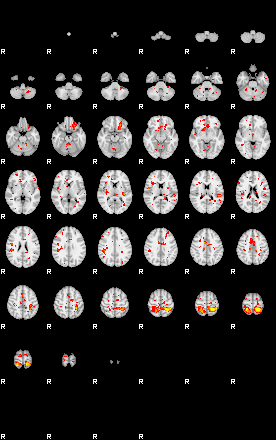 Patient:32;component:55