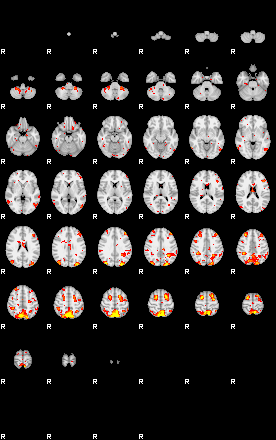 Patient:32;component:80