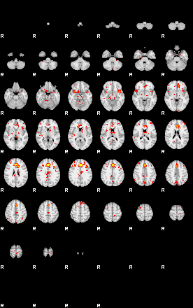 Patient:32;component:81