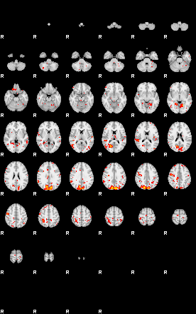 Patient:33;component:136