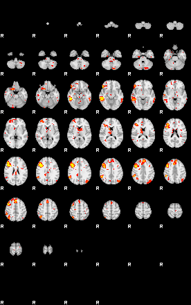 Patient:34;component:119