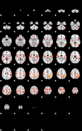 Patient:34;component:156