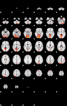 Patient:34;component:177