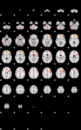 Patient:34;component:193