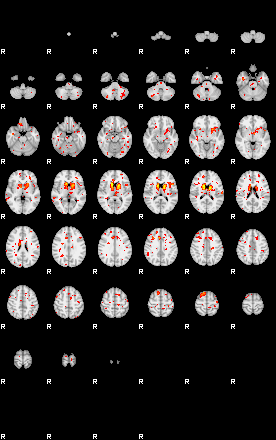 Patient:34;component:38