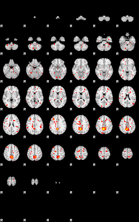 Patient:35;component:118