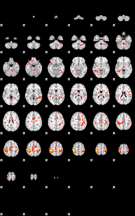 Patient:35;component:178