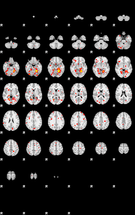 Patient:35;component:69