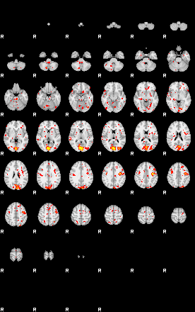 Patient:36;component:102