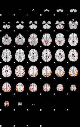 Patient:36;component:109