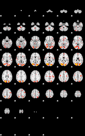 Patient:36;component:143