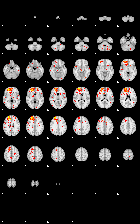 Patient:36;component:146