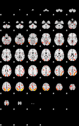 Patient:36;component:184