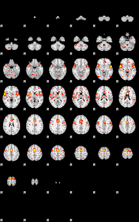 Patient:36;component:195