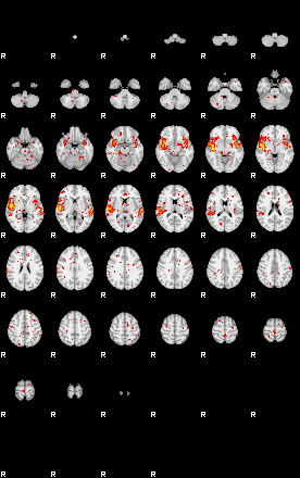 Patient:36;component:58