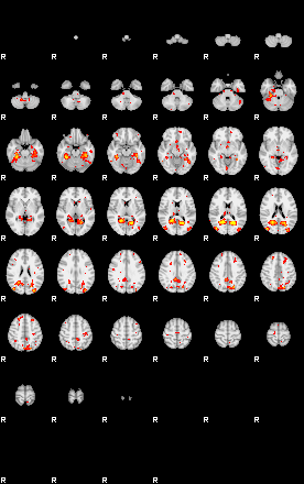 Patient:36;component:89