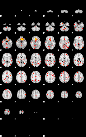 Patient:37;component:113