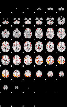 Patient:37;component:138