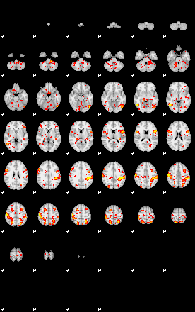 Patient:37;component:141