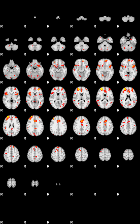 Patient:37;component:146