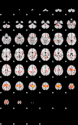 Patient:37;component:37