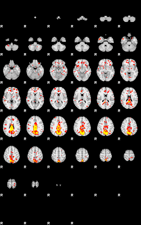 Patient:37;component:74