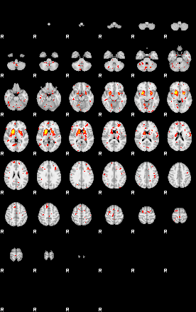 Patient:37;component:88