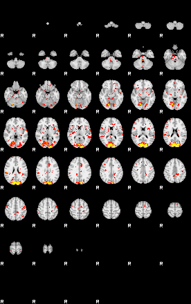 Patient:38;component:102