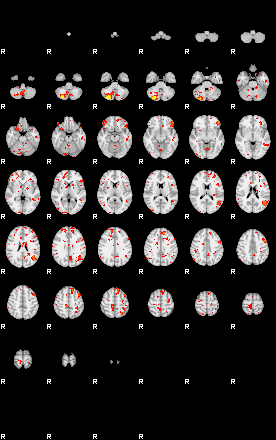 Patient:38;component:114