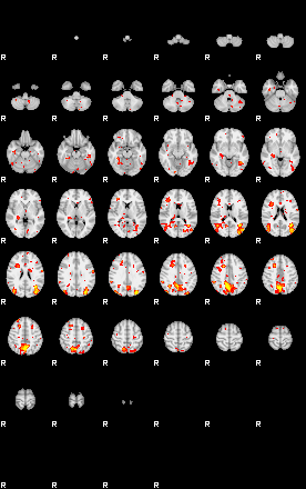 Patient:38;component:118