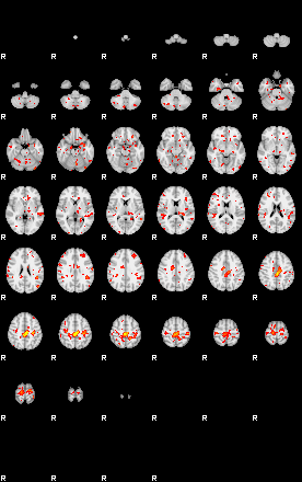 Patient:38;component:12