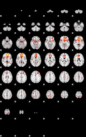 Patient:38;component:125