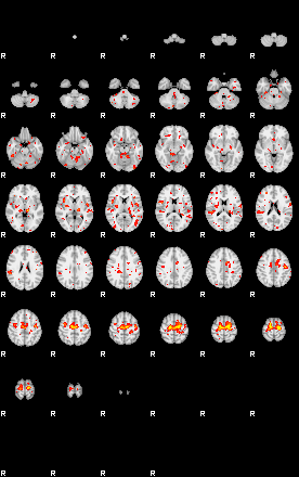 Patient:38;component:147