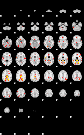 Patient:38;component:157