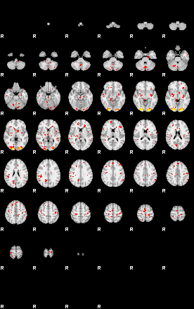 Patient:38;component:172