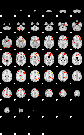 Patient:38;component:193