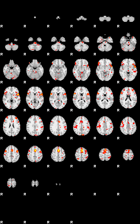 Patient:38;component:194