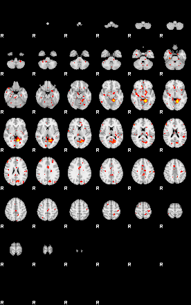 Patient:38;component:5