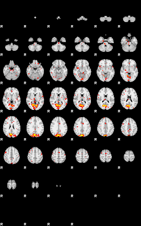 Patient:38;component:53