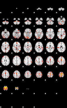 Patient:38;component:67