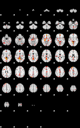 Patient:38;component:8