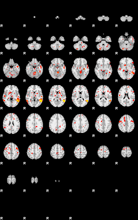 Patient:38;component:9