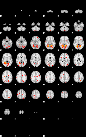 Patient:39;component:136