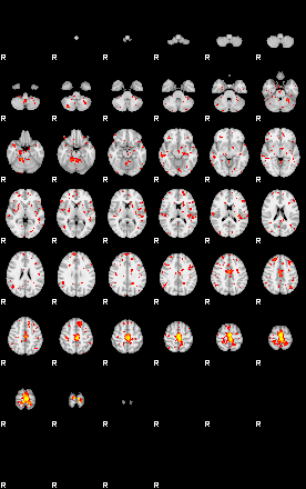 Patient:39;component:67