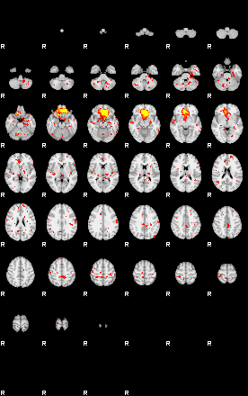 Patient:3;component:113